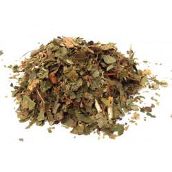 10gms Sassafras Leaf Herb